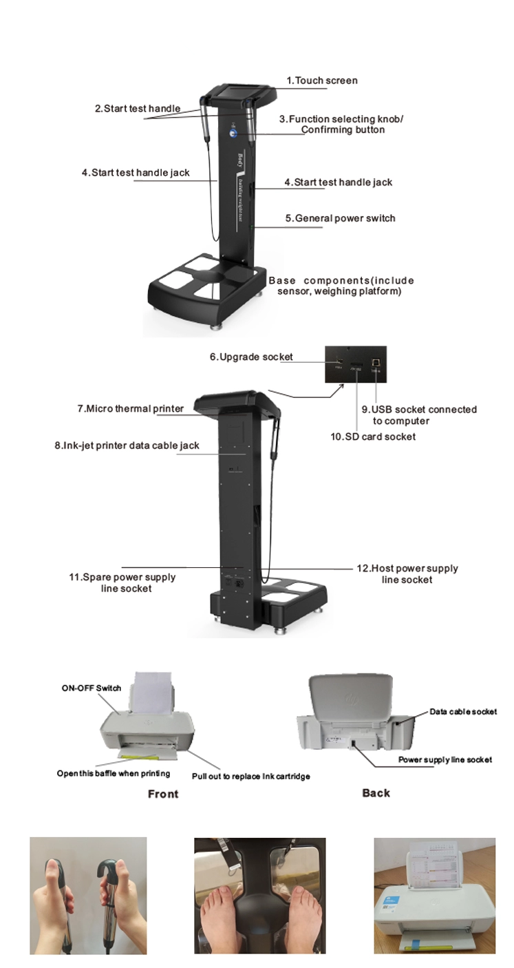 Professional Body Composition Analysis Machine Percentage Of Body Fat Analyzer with Printer
