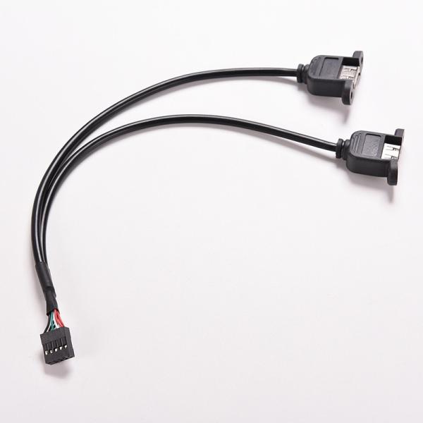 30cm Motherboard Internal 9pin Pitch 2.54mm to Dual Port USB 2.0 A Female Screw Lock Panel Mount Cable