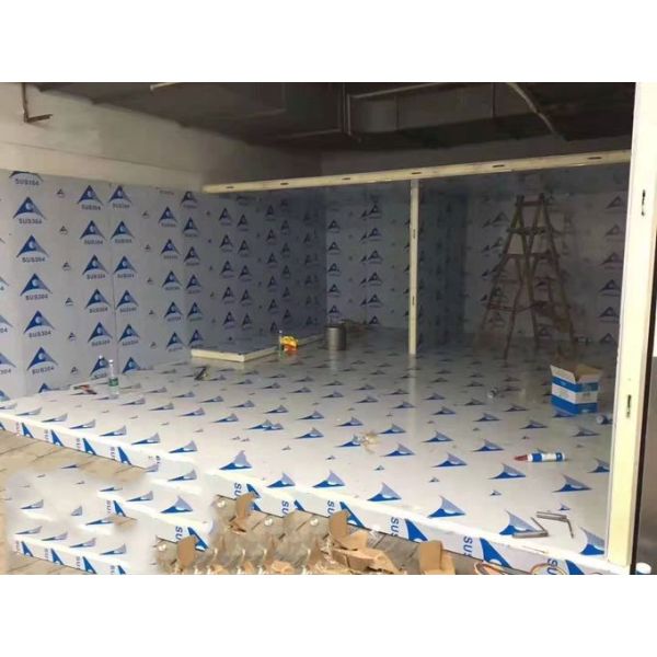 Paseo en puerta de la cámara del almacenamiento de los pescados del desplazamiento frío o de oscilación garantía de 1 año