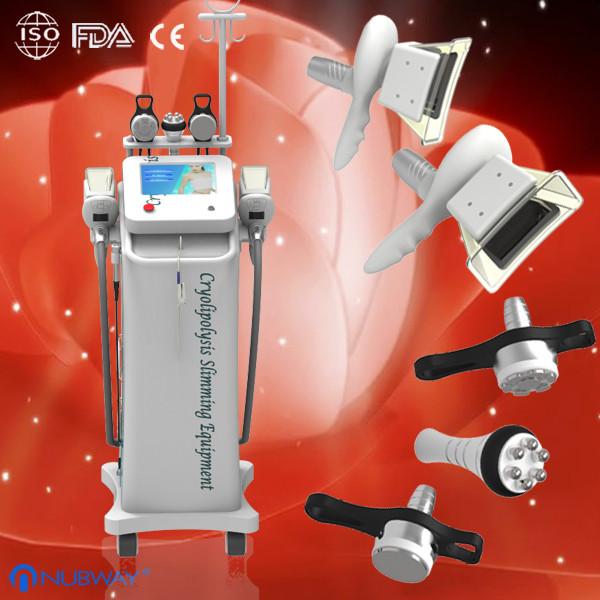 2014 cheapest lipo laser cryolipolysis,slimming cryolipolysis machine manufacturer