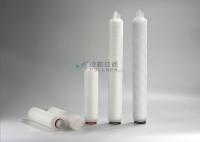 Cartucho de filtro plisado farmacéutico 2,7