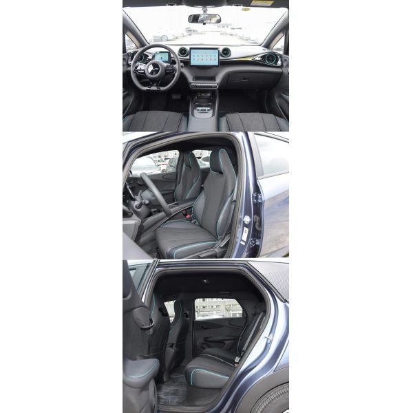 2025 BYD Dolphin Electric SUV with Leather Seats and Electric Rearview Mirror Adjustment