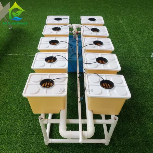 Cultivation sans sol Hydroponie Bato Pot Dutch Bucket Planting Set