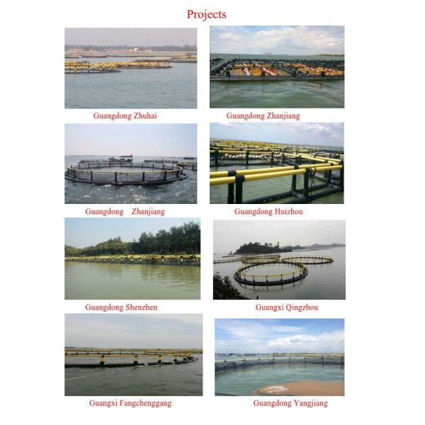 Réseau d'élevage de poissons de mer en HDPE, cage anti-onde 4 m2 à 200 m2