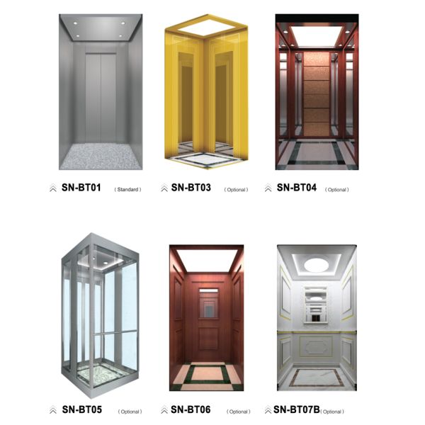 Piso del PVC del diseño interior del elevador del chalet con la luz del acero inoxidable/del tubo