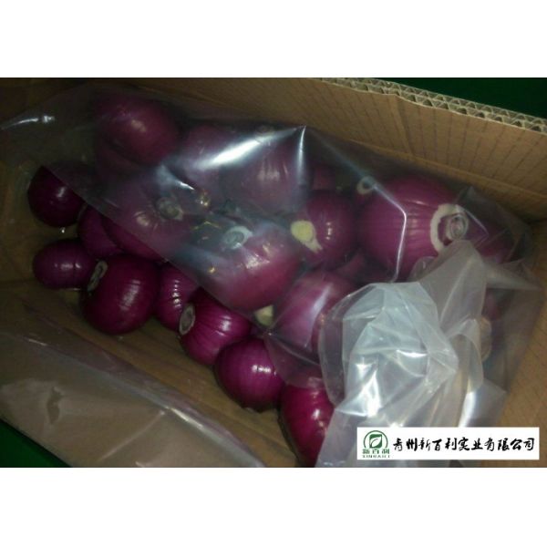 Juicy Sweet Red Onion 10 Kg / Bag Packing White Flesh For Cooking