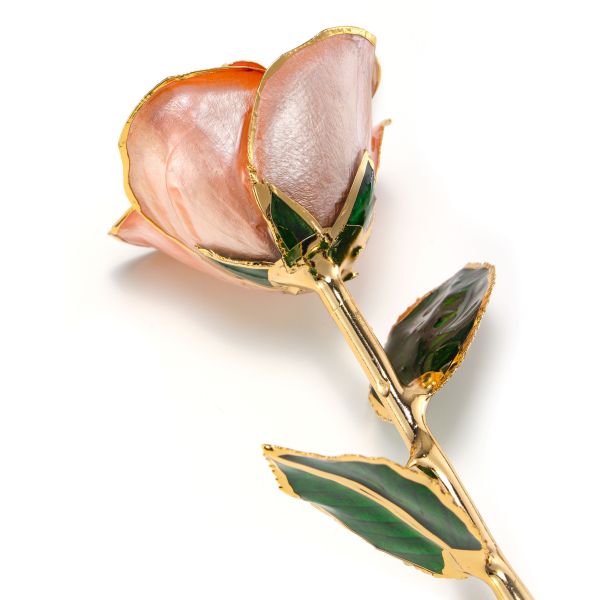 24k Gold Plated  Rose  Preserved Fresh Flower  Wholesale Preserved Rose Manufacture Directly Supply