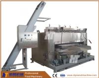 Amandes Commercial Nut Roaster Bean Electric Nut Roaster Automatic Swing Roaster Iso