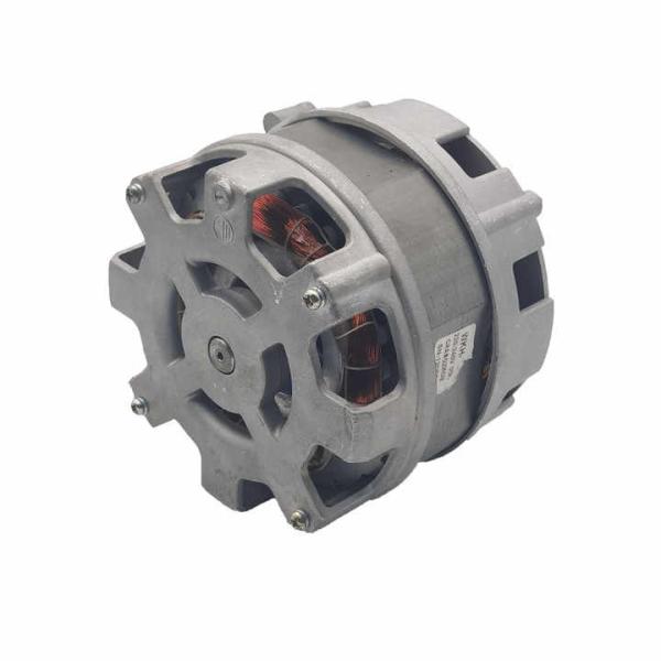 KG-1209250 110-240 V 10-60 tr/min haute puissance 200-500 W moteur à induction électrique pour moteur de mélangeur