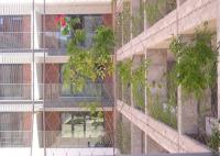 Planta que escala a malha de aço inoxidável 3.2mm do cabo da parede verde