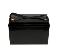 Cycle portatif de l'alimentation d'énergie de batterie d'UN38.8 20ah 960WH 48V Lifepo4 4000