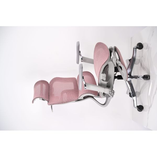 Boss Nylon High Back Ergonomic Mesh Office Chair Height Adjustable With 5D Armrest