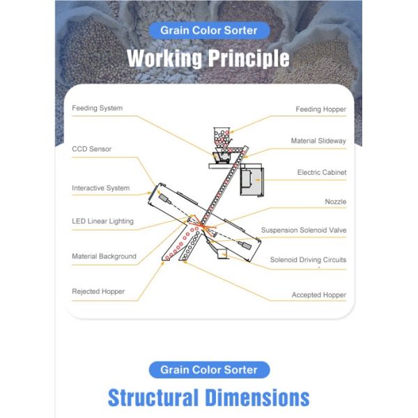 Máquina de clasificación de colores inteligente de granulados de plástico HDPE para animales de compañía