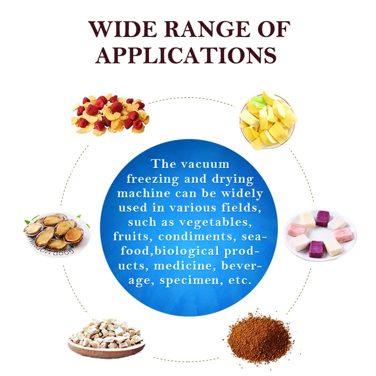 Технологическое оборудование температуры 30-150℃ замораживания лаборатории SS 167KW более сухое профессиональное