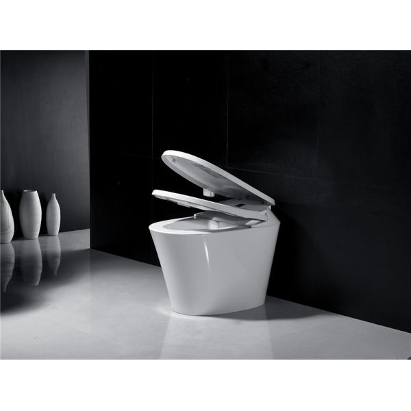 Electric Bathroom One Piece Toilet Cleaning Pressure Adjusting CE Standard