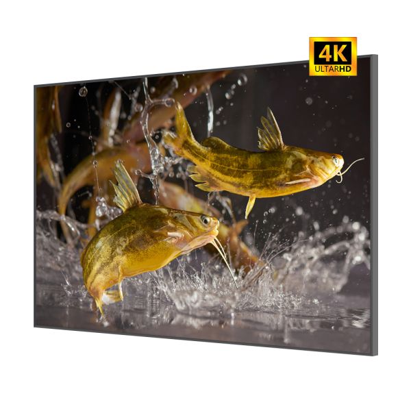 43 All in One UHD 4K Digital Signage Display 24/7 Operation 1000cd/m2 Commercial Advertising Screen