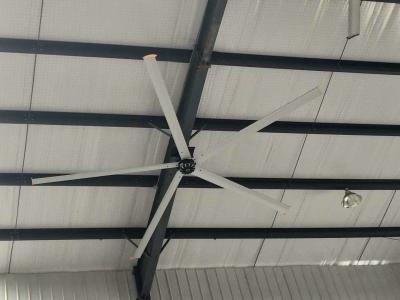 Fã de teto de Hvls dos espaços do armazém grande para o centro de esportes