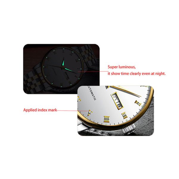 Collection Automatic Wrist Watch Japan Movt , Automatic Sapphire Watch 24mm Band Length