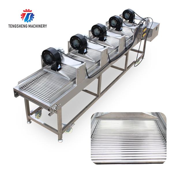 350KG 380V Vegetable air drying line fruit parallel air drying machine packaging air drying