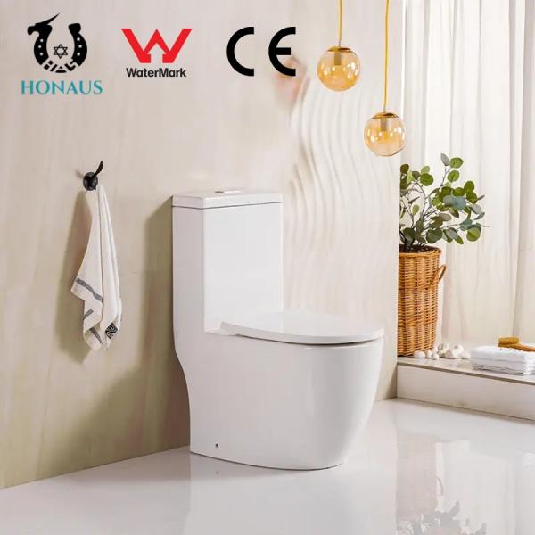 WaterMark Siphonic One Piece Toilet Bowl