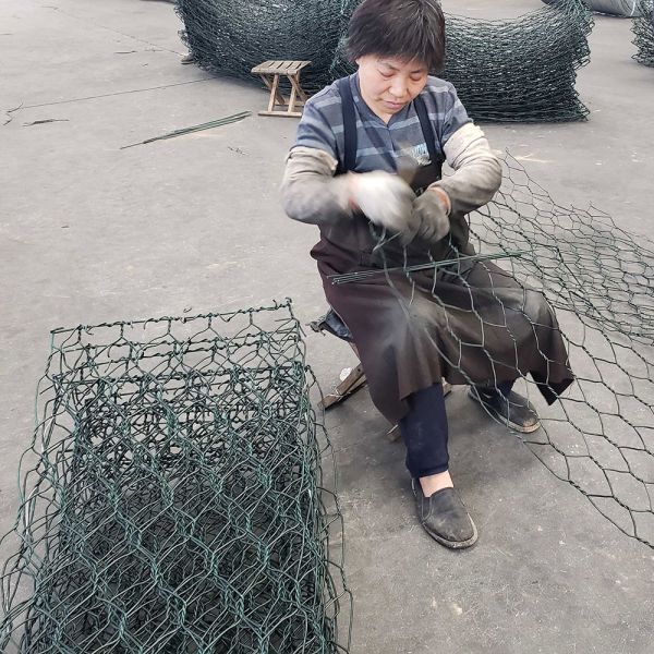 Pvc покрыл гальванизированную ячеистую сеть подпорной стенки стены 2mm Gabion шестиугольную