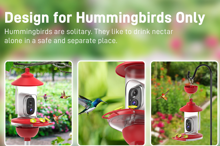 Smart Bird Feeder