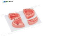 Pad de práctica de sutura de heridas de contacto oral realista para la educación dental