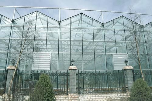 Hermetic Agricultural Glass Greenhouse , Venlo Greenhouse Structure Aluminium Alloy Roof