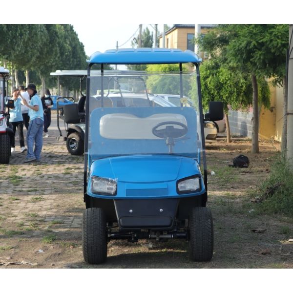 Синий цвет 2-местный грузовик для гольфовых корзинок Депо двигатель переменного тока 3,5 кВт Минимальный поворот 5600 мм