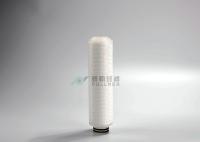 Estimation absolue de retrait de la filtration 0.01um 0.02um de Cartridfe 0.22um de filtre de FDA PTFE