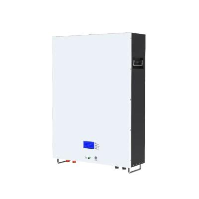 Smart BMS Off Grid Hybrid Lithium Ion House Battery 100ah 200ah Customized
