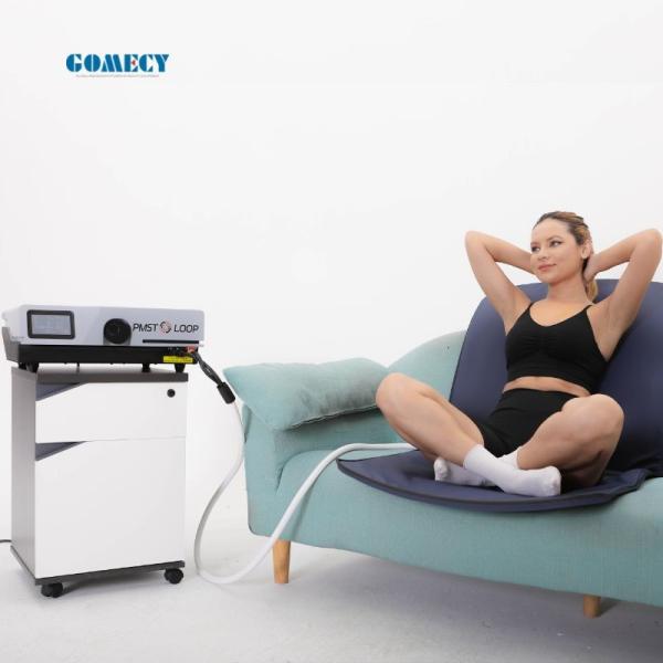 GMS Body Magnetic Pemf Mat 6000GS PMST Loop Magnetotherapy Body Pain Relief Machine