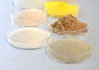 Enzyme de saccharisation de l'amylase maltogénique