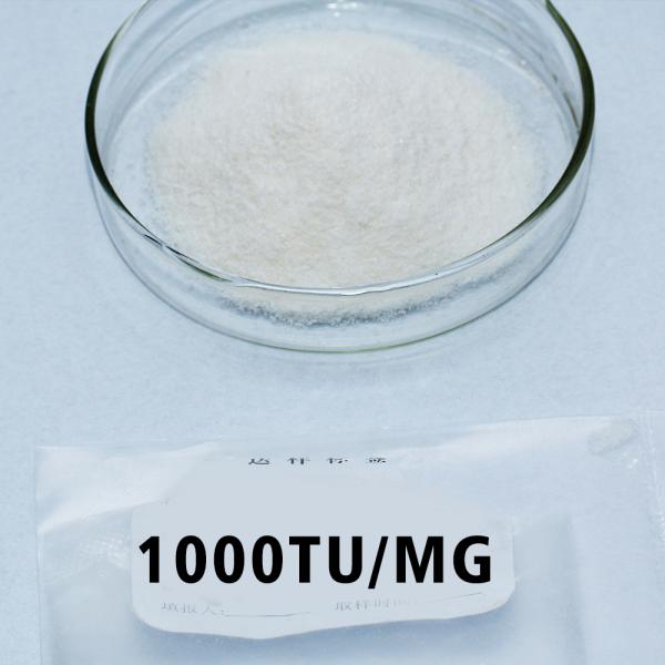 Médicament Poudre de papaïne 300USP-6000USP Enzyme de papaïne personnalisée
