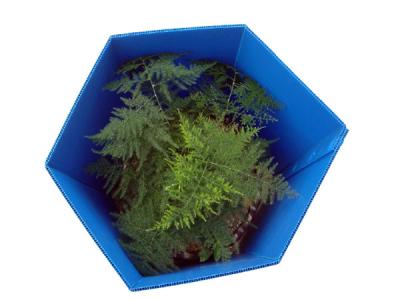 Polygonal Corrugated Plastic Tree Protectors Eco Friendly Weather Proof