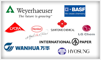 Экологически чистый подгузник для собак для собак 6 размеров