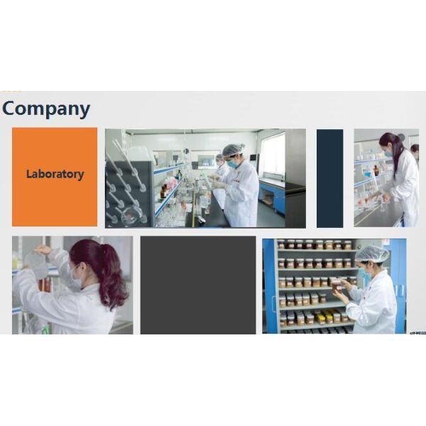 Органический чистый пчелиный мед сырой натуральный оптом 35 кг 290 кг бочка