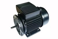 motor de indução 50HZ/60HZ da fase 0.55kw monofásica para as bombas plásticas da piscina