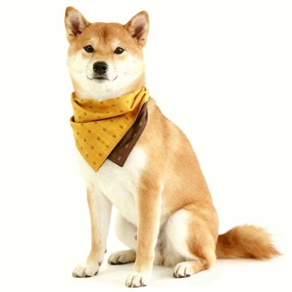 Reversible Turmeric Color Block Dog Bandana - Adjustable Double-Sided Bib Scarf for Small to Large Breeds Like Bichon, Westie, Golden & Labrador