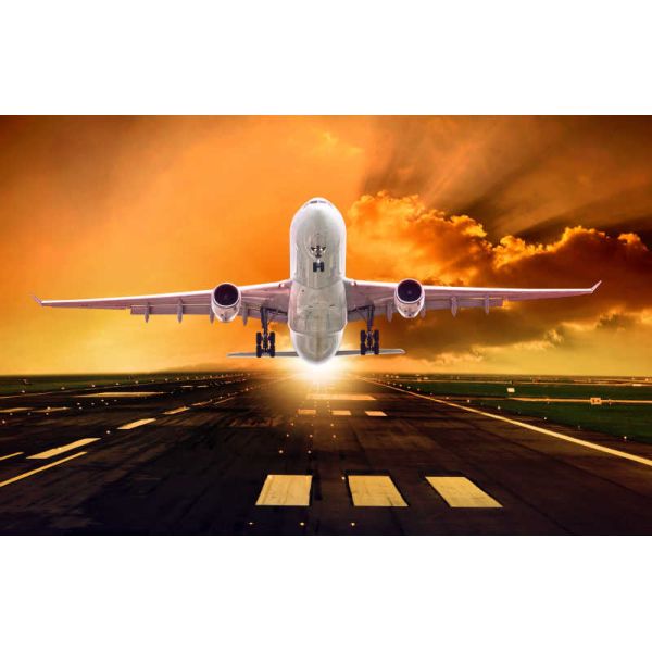 Дешевый международный препровождать компанию по транспортировке грузов от ШАНХАЯ Китая к Великобритании