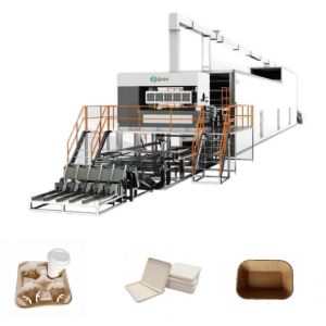 Rotating Fruit Tray Making Machine High Precision Full Automatic