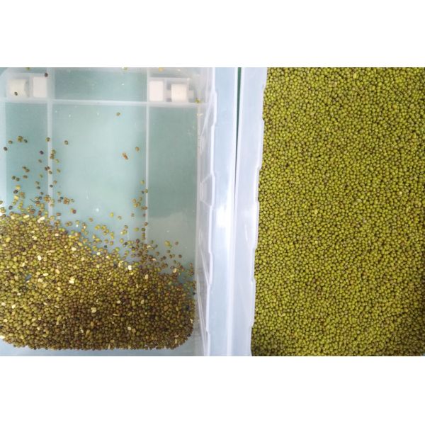 Mung Green Bean Sorting Machine 8 Chutes Wifi Remote Control