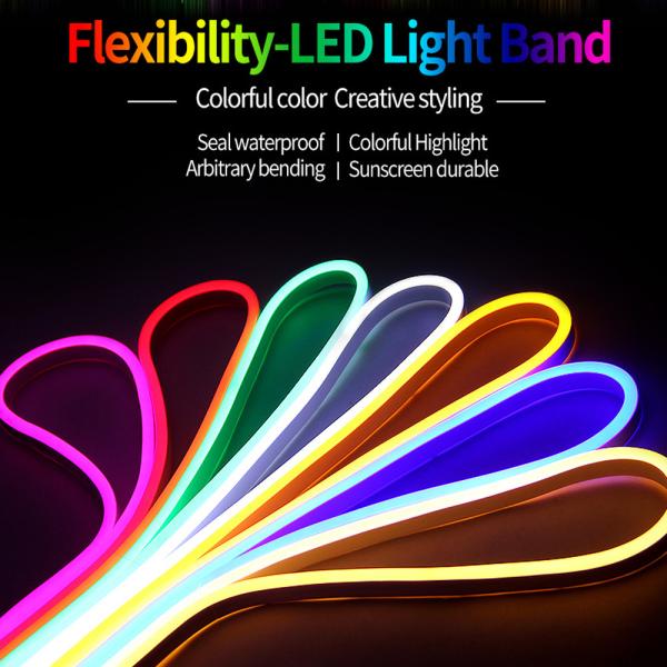 Dc 12v 600leds 6*12mm PVC Neon LED Strip Light Waterproof Flexible LED Light Strip