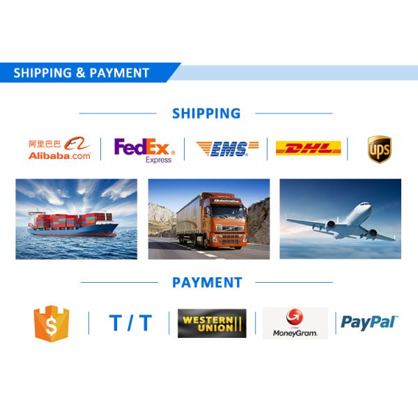 zinc plated Metal Screw Fasteners , IFI hexagon socket head cap screws