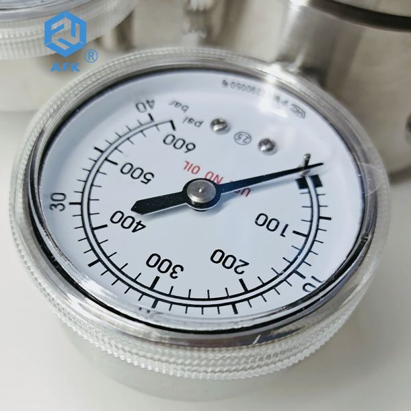 PCTFE PTFE Stainless Steel Pressure Regulator 1000PSI 600Psi Double Gauges