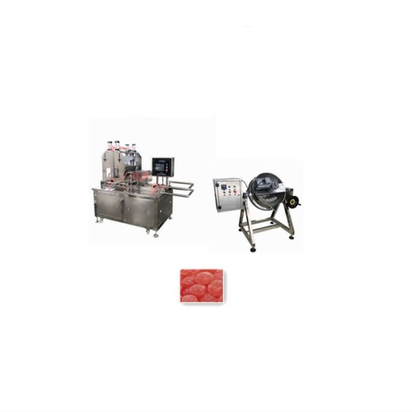 1900*900*1620mm Stainless Steel Industrial Sour Blueberry Candy Processing Equipment