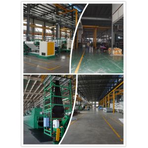 Quanzhou Winiw Import And Export Co., Ltd. Certifications