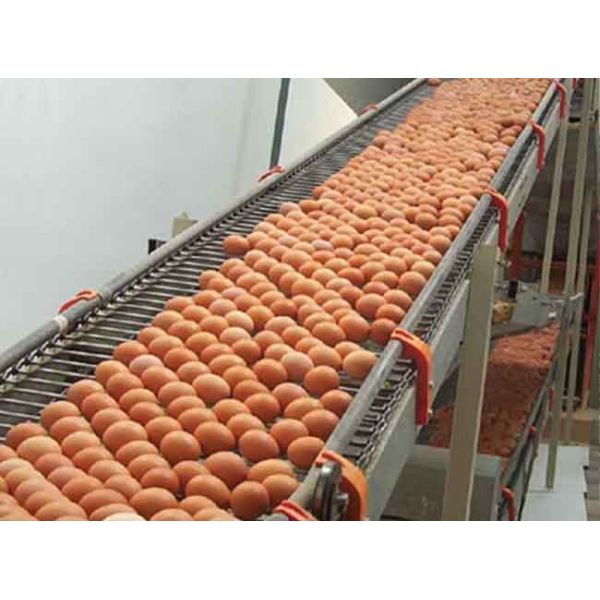 Versatile Ladder Conveyor Belt Carbon Steel And Galvanized Steel