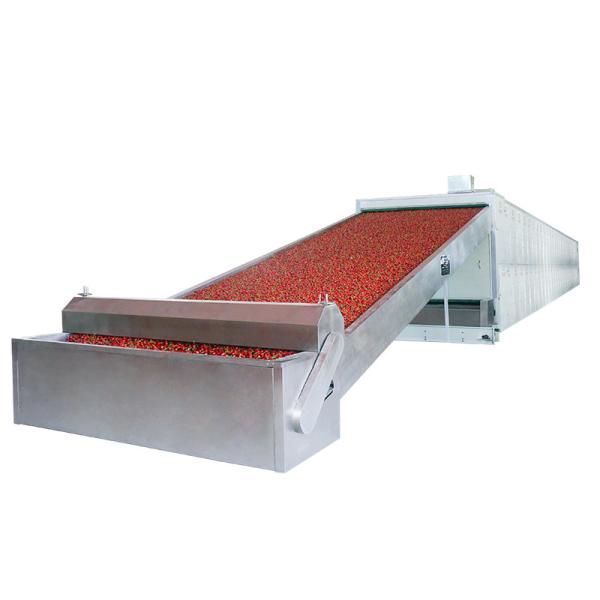 400 To 700kg/ H Citrus Mesh Belt Dryer Equipment Big Capability