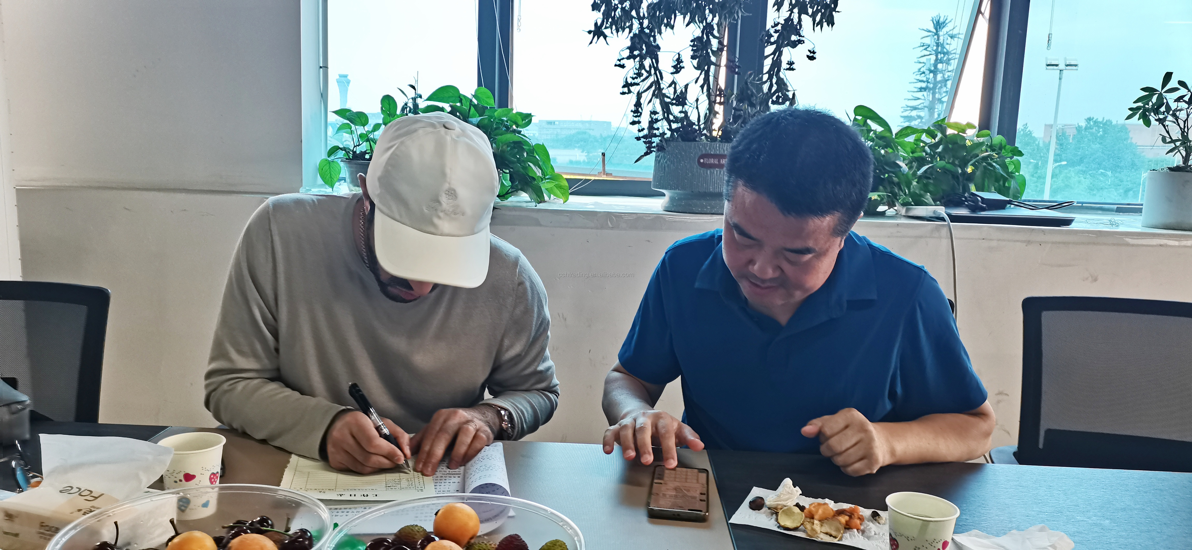 2024 Взрослый Коала Аркфокс Кала МПВ Автомобили Идеальное сочетание стиля и функции